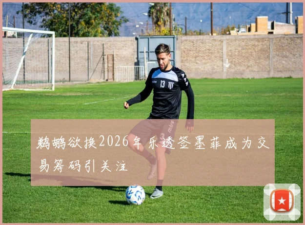 鹈鹕欲换2026年乐透签墨菲成为交易筹码引关注