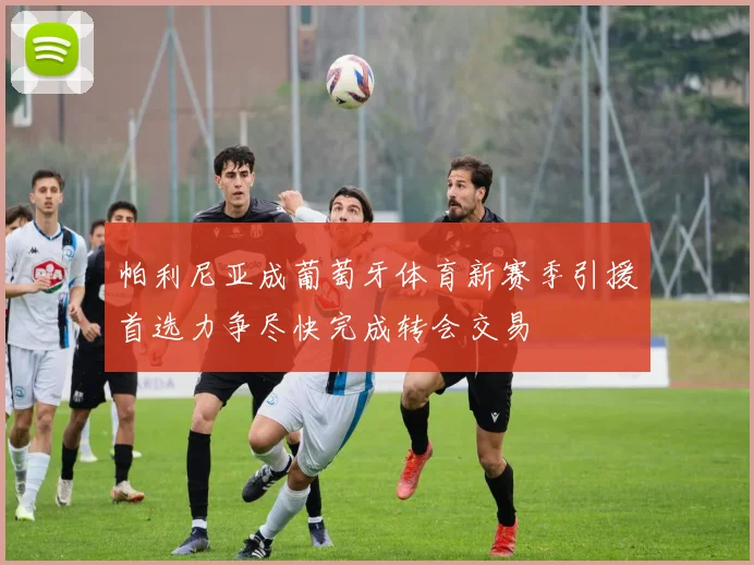 帕利尼亚成葡萄牙体育新赛季引援首选力争尽快完成转会交易